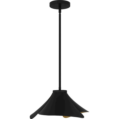 1 Light Pendant, Matte Black/Metal