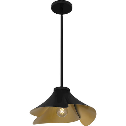 1 Light Pendant, Matte Black/Metal