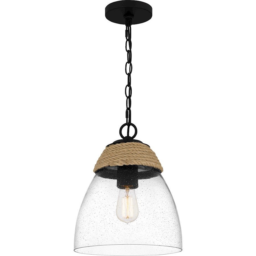 1 Light Mini Pendant, Matte Black