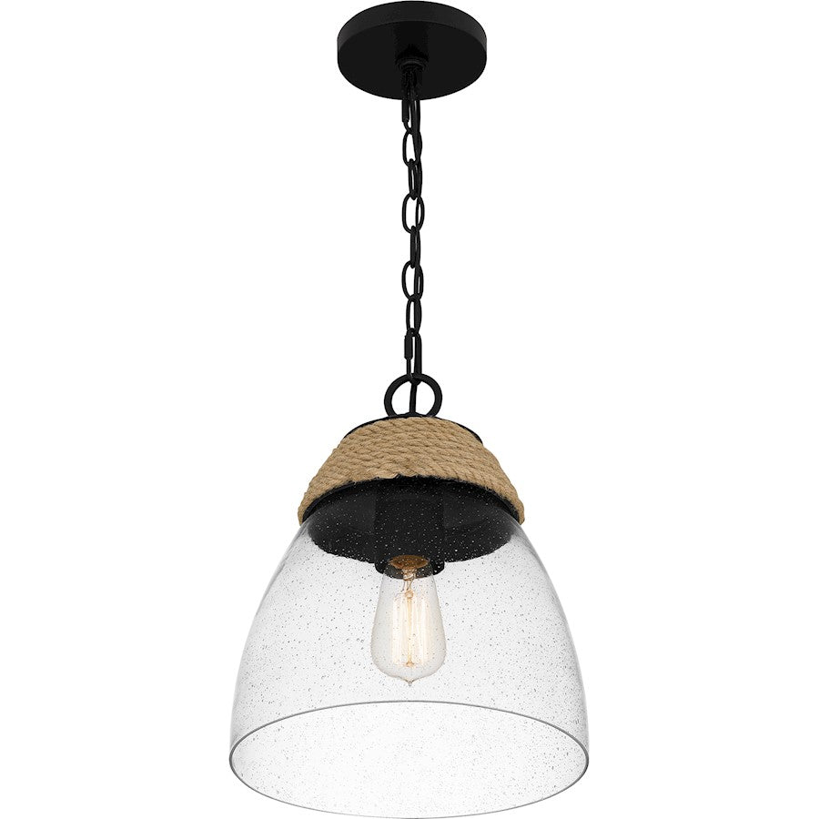 1 Light Mini Pendant, Matte Black