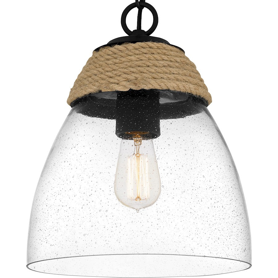 1 Light Mini Pendant, Matte Black