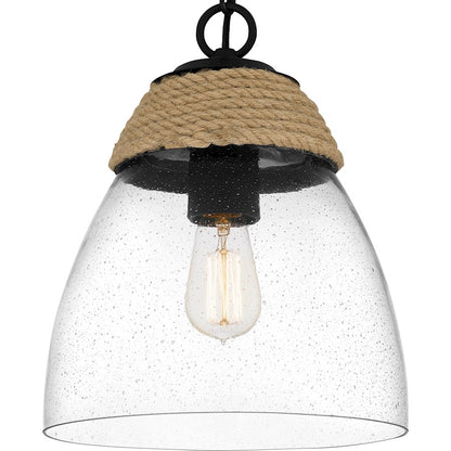 1 Light Mini Pendant, Matte Black
