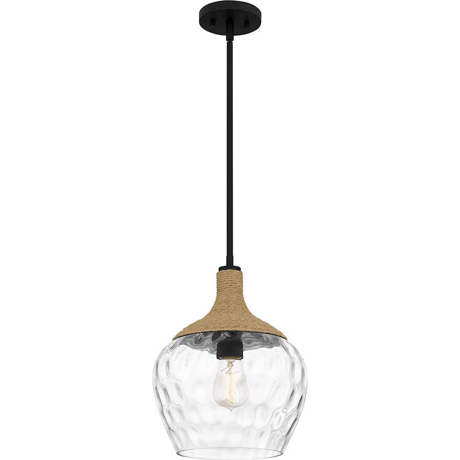 1 Light Mini Pendant, Matte Black