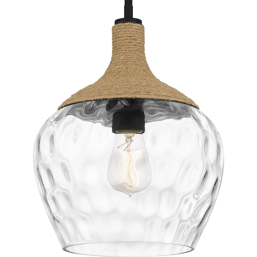 1 Light Mini Pendant, Matte Black