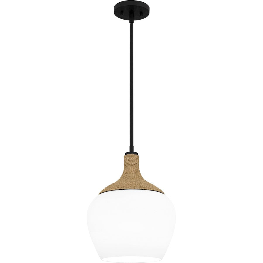 1 Light Mini Pendant, Matte Black