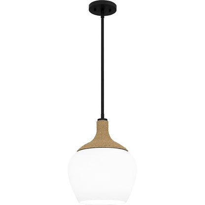 1 Light Mini Pendant, Matte Black