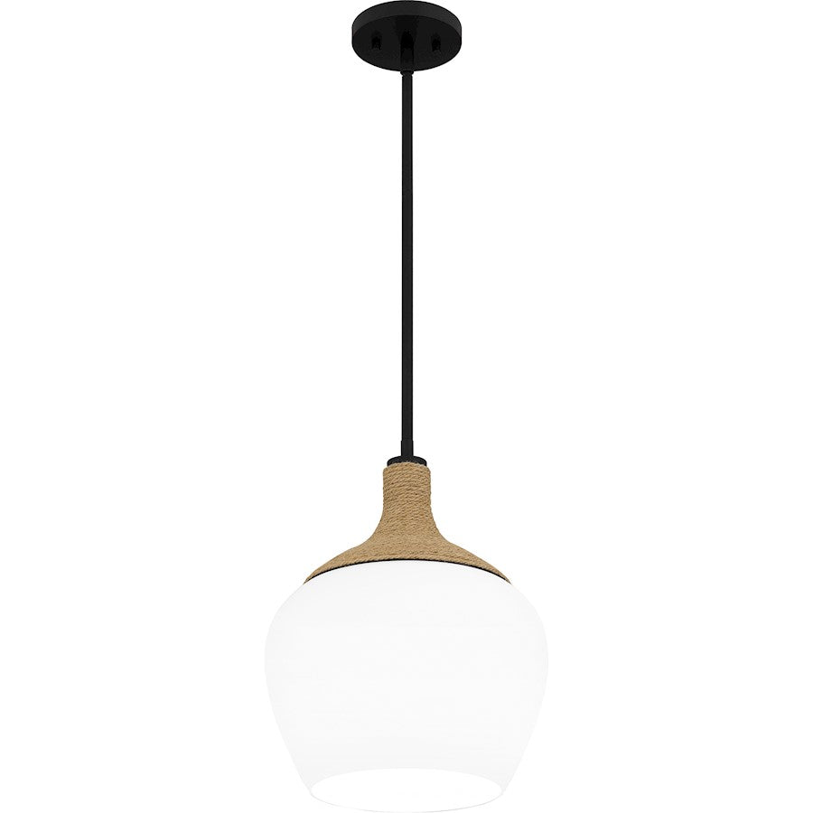 1 Light Mini Pendant, Matte Black