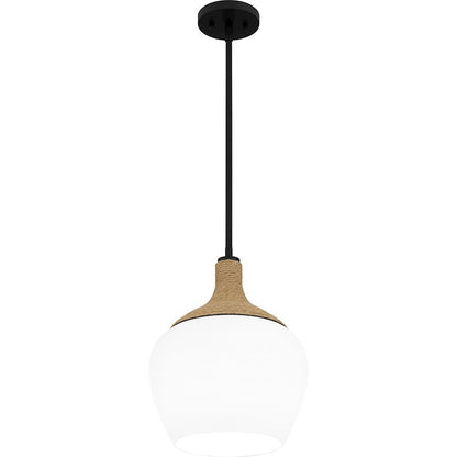 1 Light Mini Pendant, Matte Black