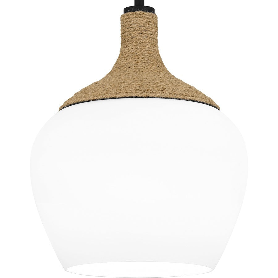 1 Light Mini Pendant, Matte Black