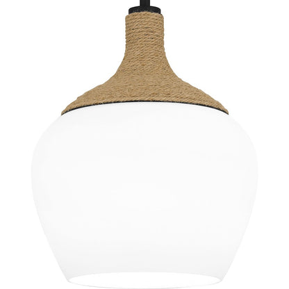 1 Light Mini Pendant, Matte Black