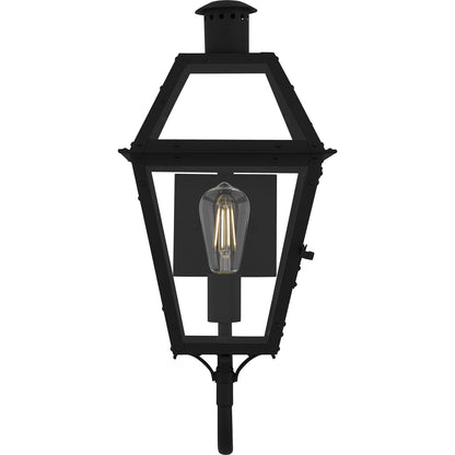 Quoizel Rue De Royal 20in 1-Light Outdoor Lantern | Traditional Earth Black and Clear Glass | Front Porch & Entryway | Model RO8410EK