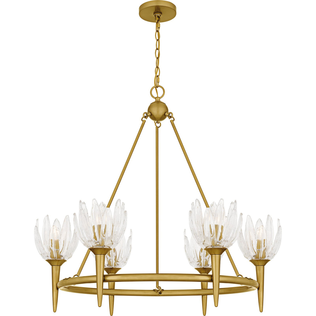 Quoizel Shea 31in 6-Light Chandelier | Traditional Brushed Gold and Clear Glass | Dining Room & Foyer | 31 x 31 x 30 in | Model SHA5032BRG
