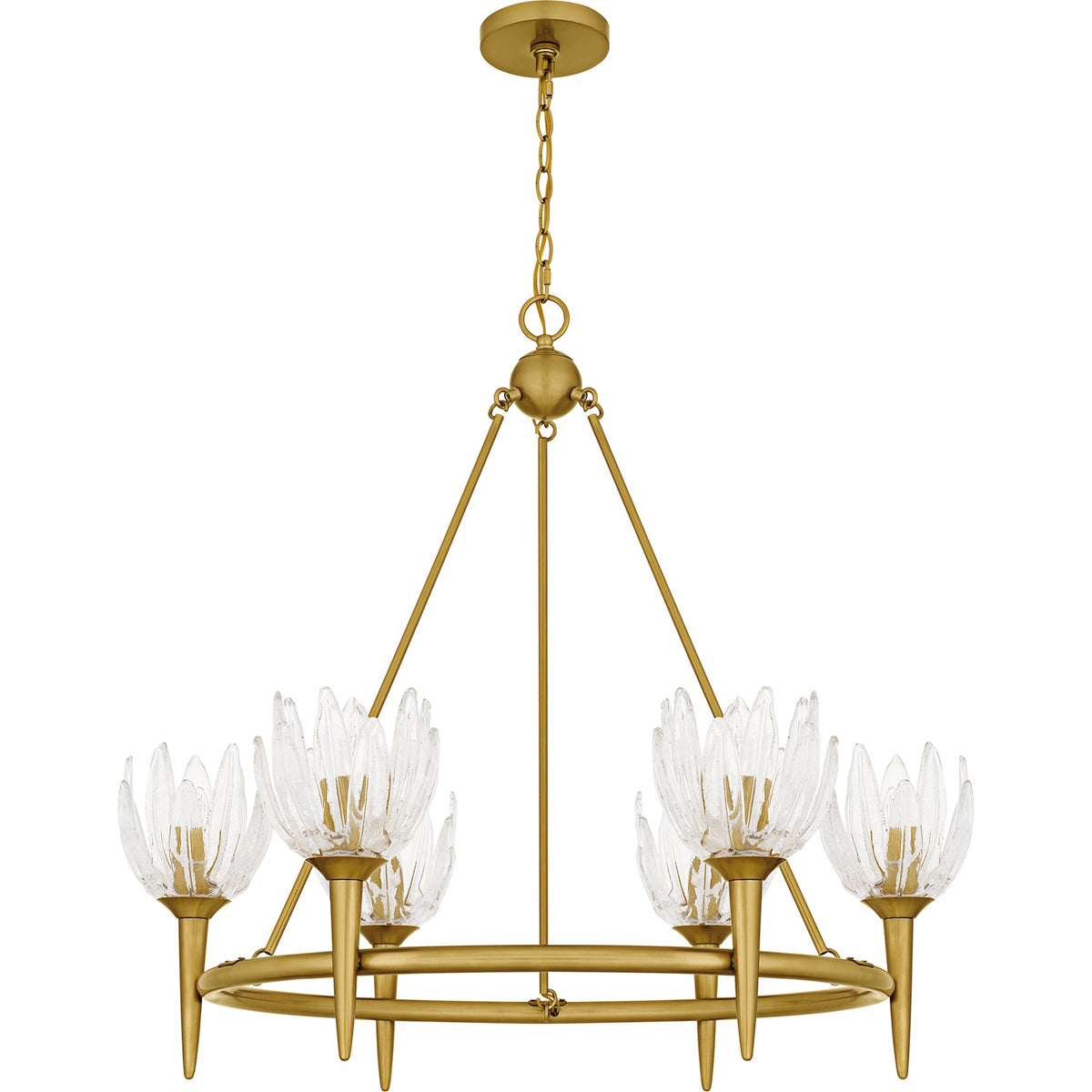 Quoizel Shea 31in 6-Light Chandelier | Traditional Brushed Gold and Clear Glass | Dining Room & Foyer | 31 x 31 x 30 in | Model SHA5032BRG