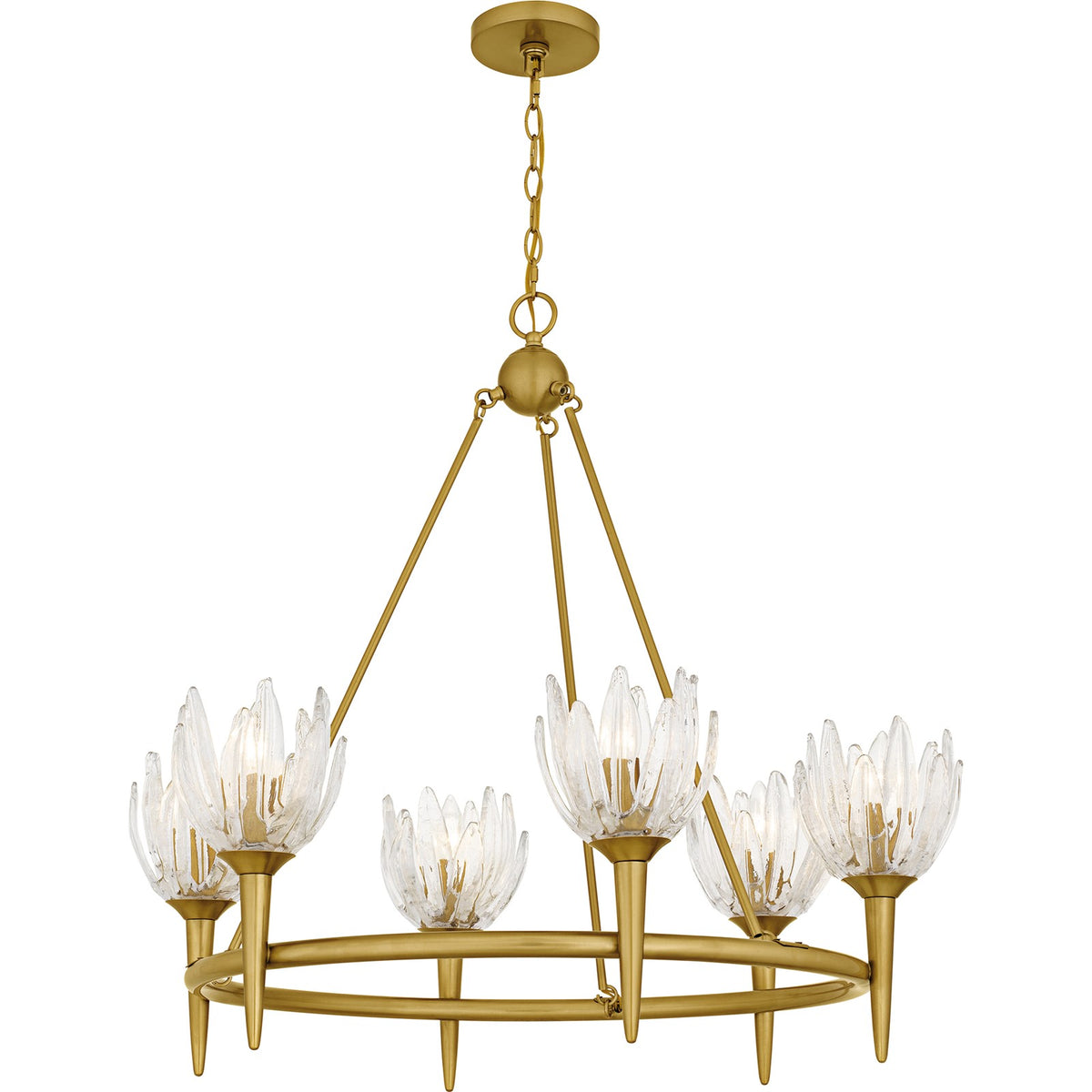 Quoizel Shea 31in 6-Light Chandelier | Traditional Brushed Gold and Clear Glass | Dining Room & Foyer | 31 x 31 x 30 in | Model SHA5032BRG