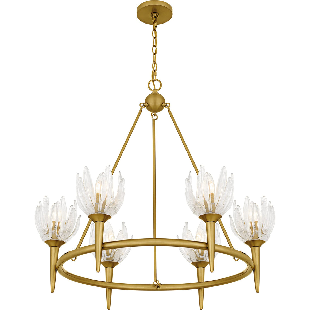 Quoizel Shea 31in 6-Light Chandelier | Traditional Brushed Gold and Clear Glass | Dining Room & Foyer | 31 x 31 x 30 in | Model SHA5032BRG