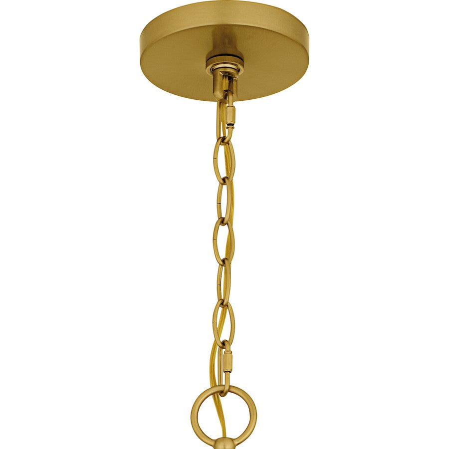 Quoizel Shea 31in 6-Light Chandelier | Traditional Brushed Gold and Clear Glass | Dining Room & Foyer | 31 x 31 x 30 in | Model SHA5032BRG
