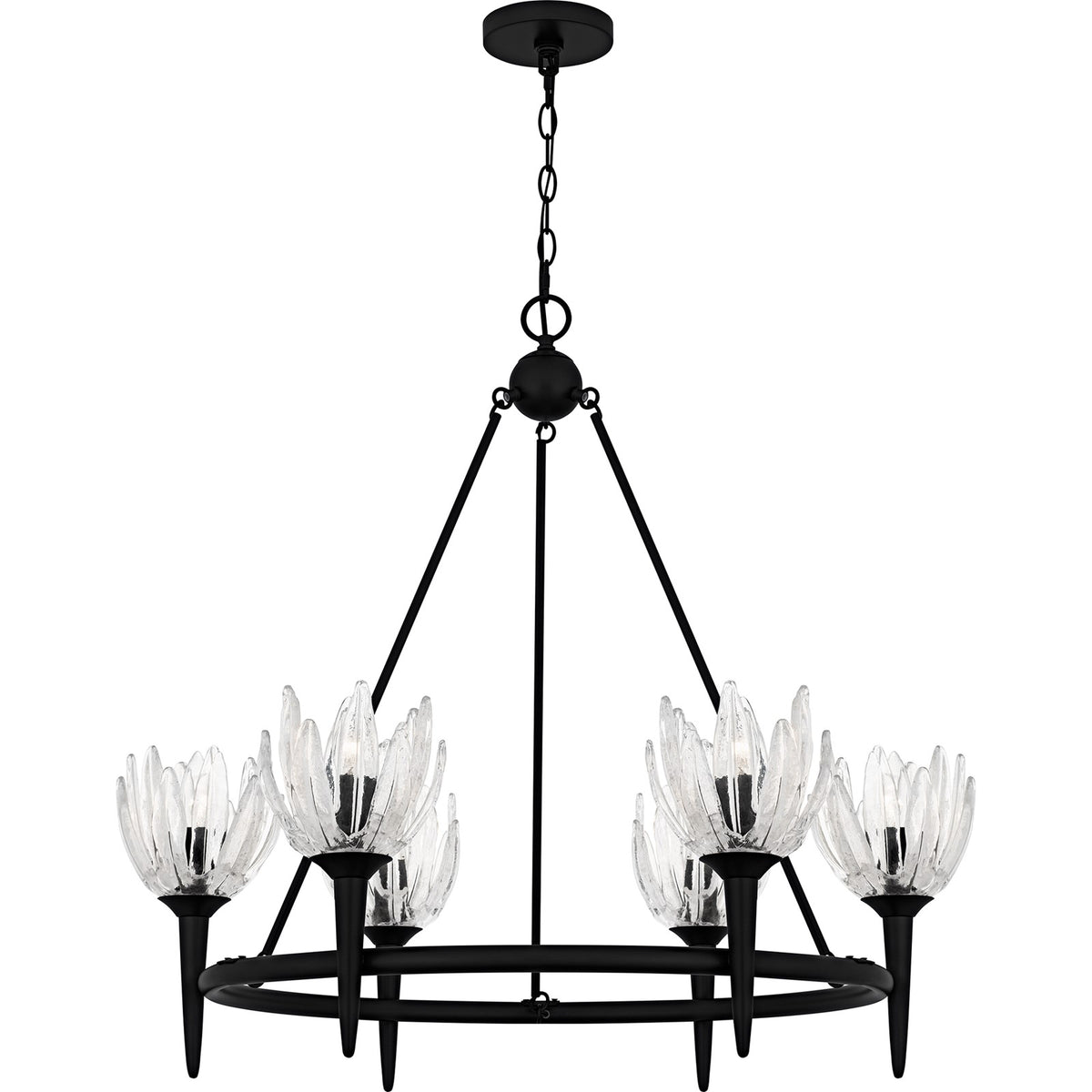 Quoizel Shea 31in 6-Light Chandelier | Traditional Matte Black and Clear Glass | Dining Room & Foyer | 31 x 31 x 30 in | Model SHA5032MBK