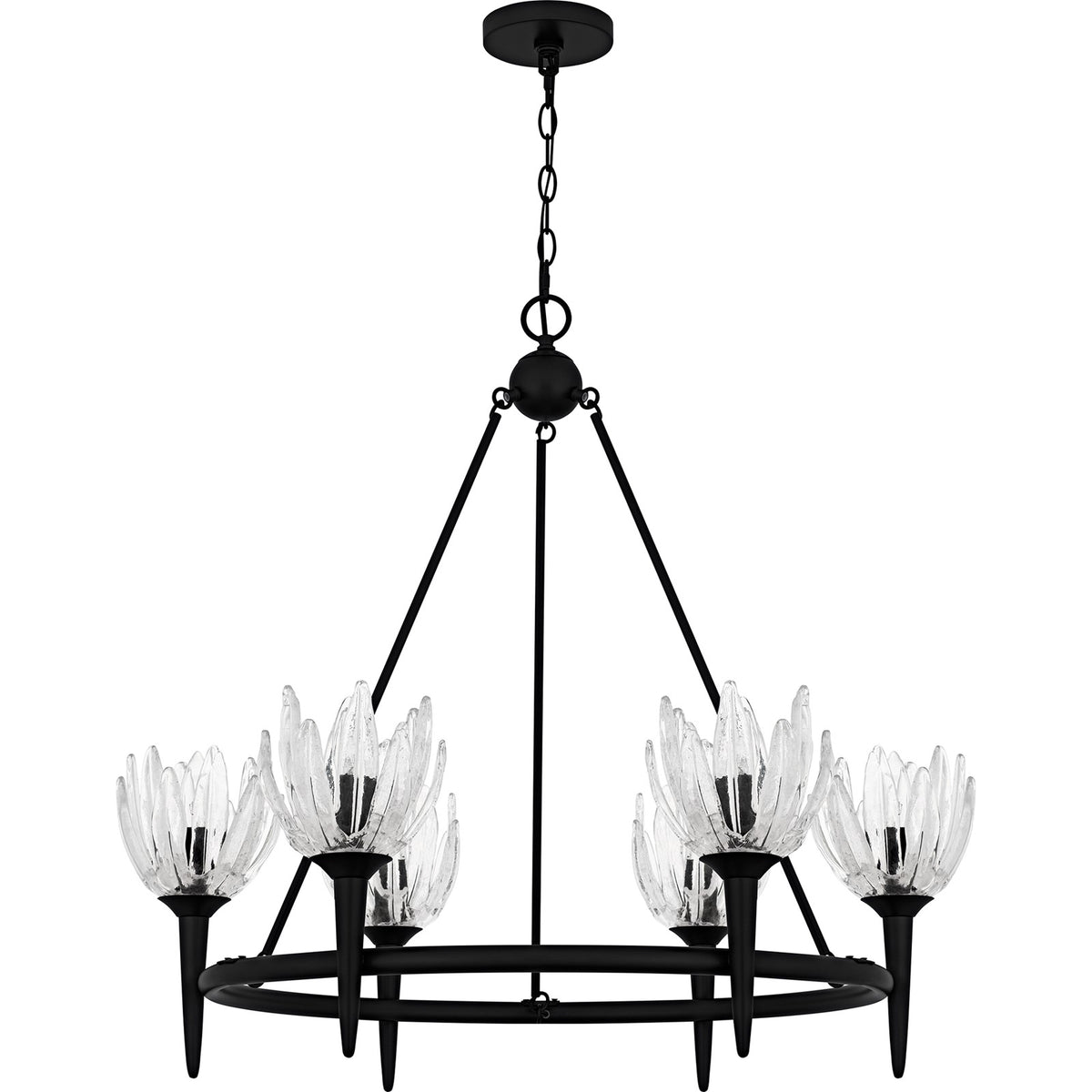 Quoizel Shea 31in 6-Light Chandelier | Traditional Matte Black and Clear Glass | Dining Room & Foyer | 31 x 31 x 30 in | Model SHA5032MBK