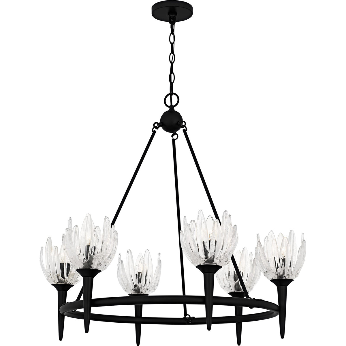 Quoizel Shea 31in 6-Light Chandelier | Traditional Matte Black and Clear Glass | Dining Room & Foyer | 31 x 31 x 30 in | Model SHA5032MBK