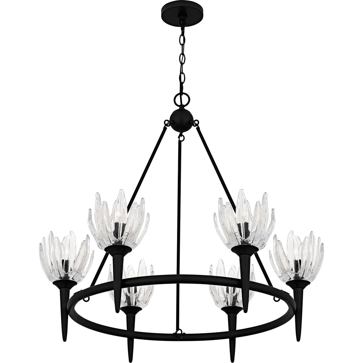 Quoizel Shea 31in 6-Light Chandelier | Traditional Matte Black and Clear Glass | Dining Room & Foyer | 31 x 31 x 30 in | Model SHA5032MBK