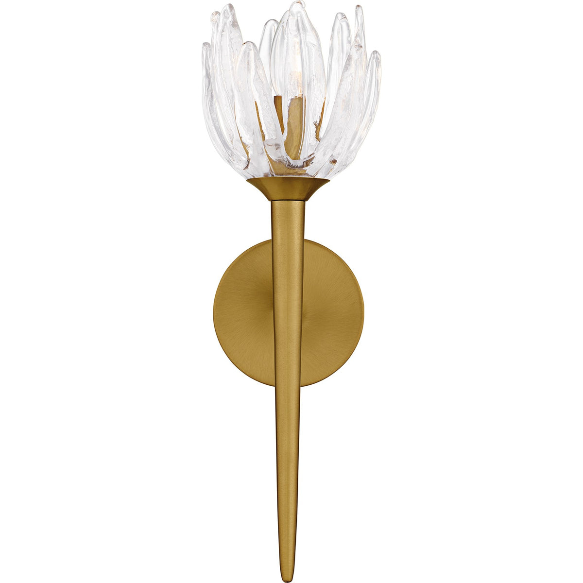 Quoizel Shea 18in 1-Light Wall Sconce | Traditional Brushed Gold and Clear Glass | Bedroom & Hallway | 6 x 7.5 x 18.5 in | Model SHA8806BRG
