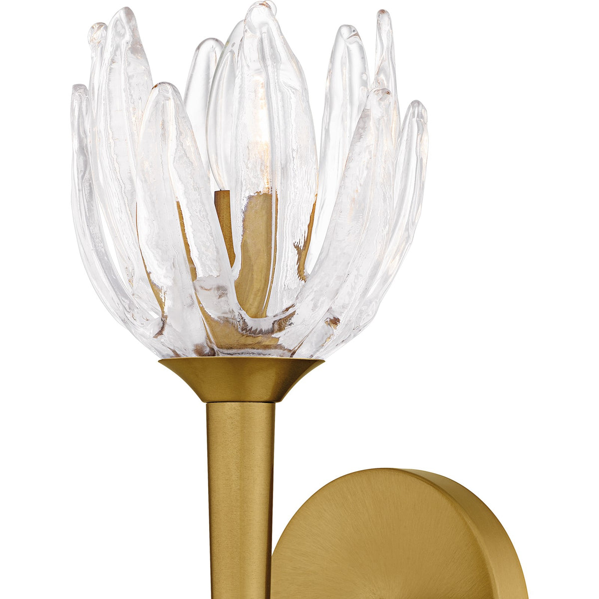 Quoizel Shea 18in 1-Light Wall Sconce | Traditional Brushed Gold and Clear Glass | Bedroom & Hallway | 6 x 7.5 x 18.5 in | Model SHA8806BRG