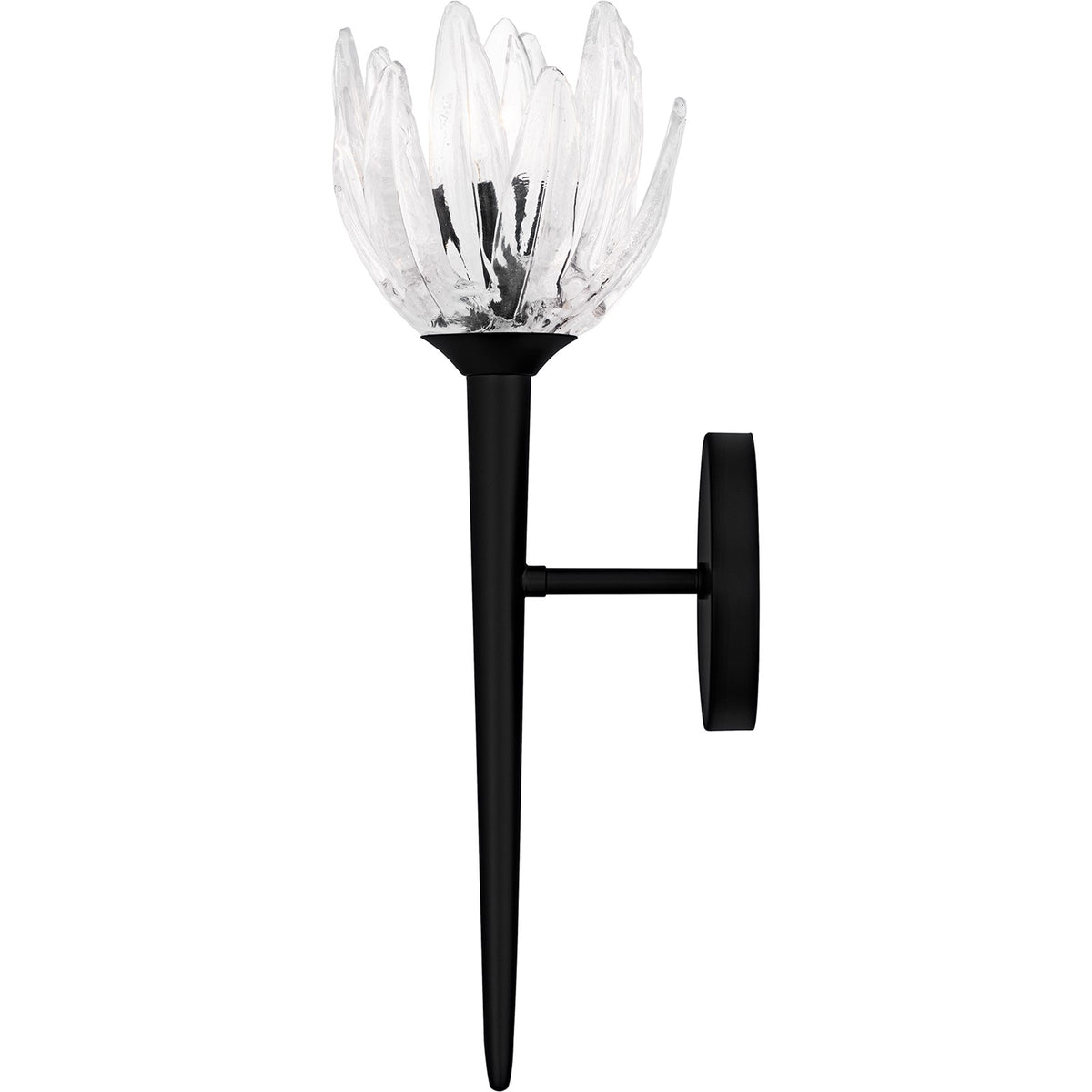 Quoizel Shea 18in 1-Light Wall Sconce | Traditional Matte Black and Clear Glass | Bedroom & Hallway | 6 x 7.5 x 18.5 in | Model SHA8806MBK