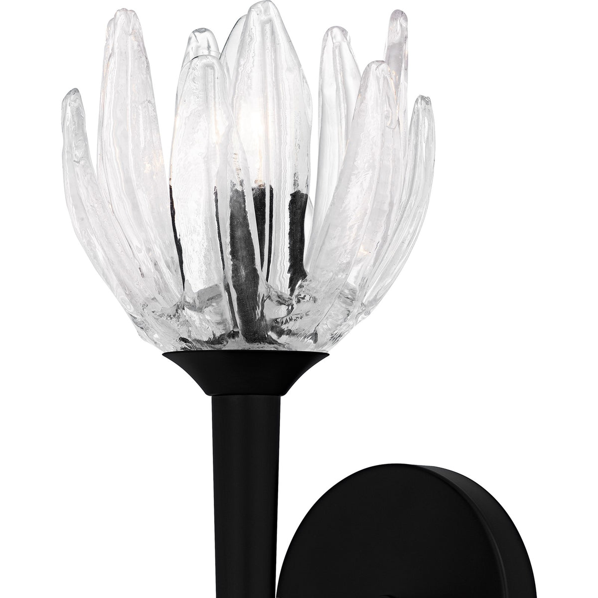 Quoizel Shea 18in 1-Light Wall Sconce | Traditional Matte Black and Clear Glass | Bedroom & Hallway | 6 x 7.5 x 18.5 in | Model SHA8806MBK