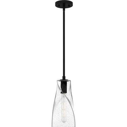 1 Light 13" Mini Pendant, Black