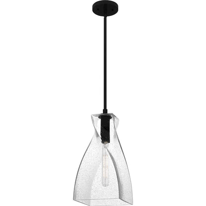 1 Light 16" Mini Pendant, Black