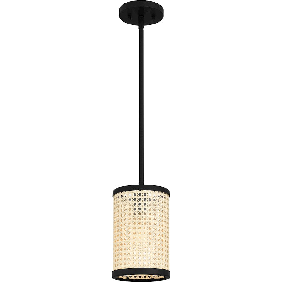1 Light Mini Pendant