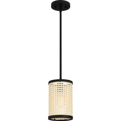 1 Light Mini Pendant