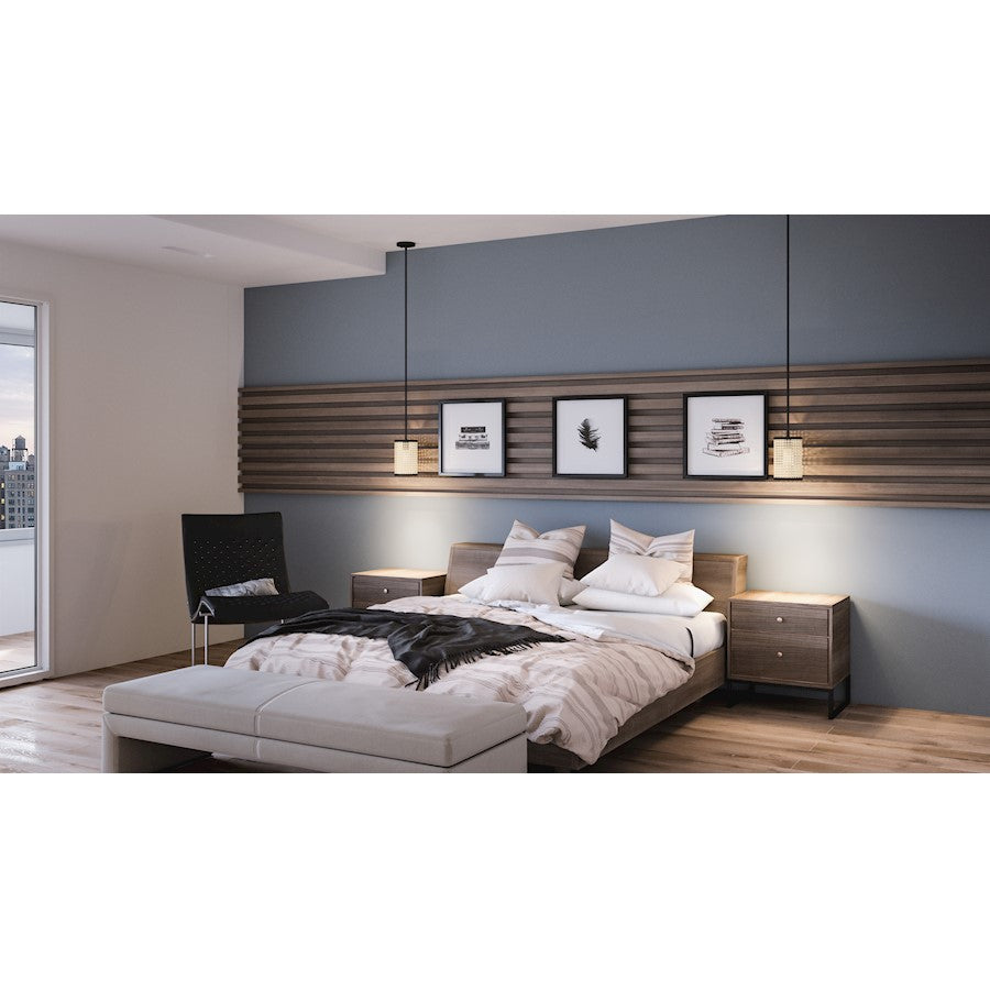 1 Light Mini Pendant