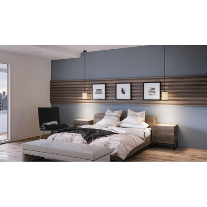 1 Light Mini Pendant