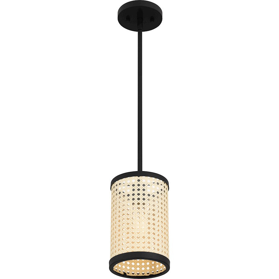 1 Light Mini Pendant