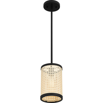 1 Light Mini Pendant