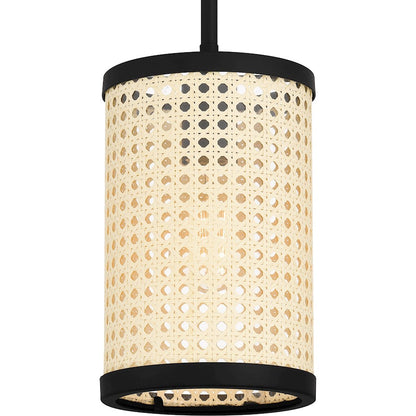 1 Light Mini Pendant
