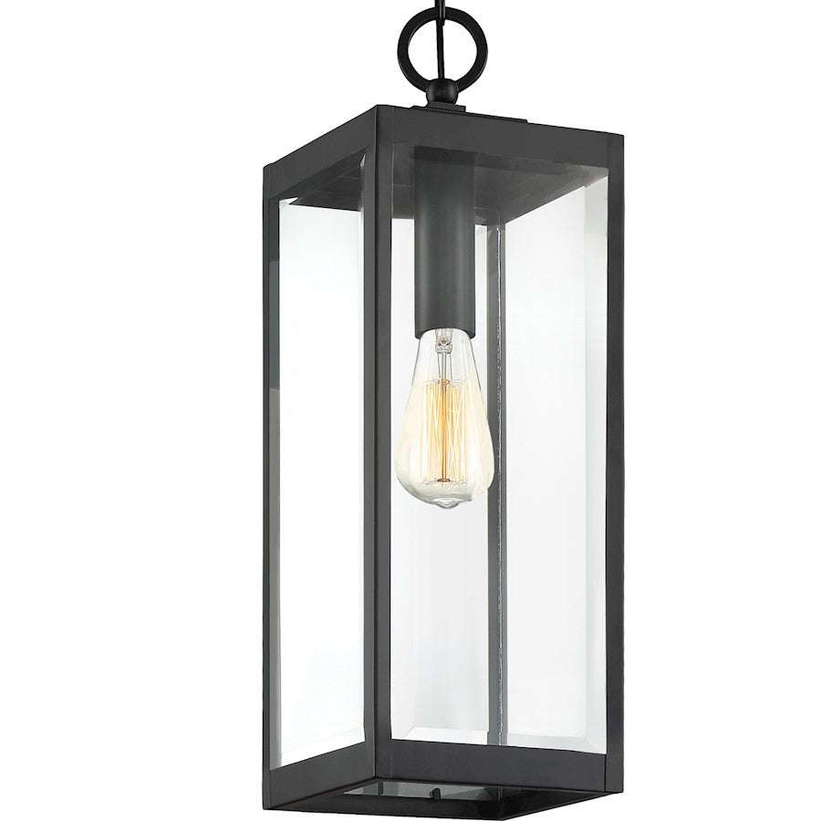 1 Light Mini Pendant, Clear Seeded