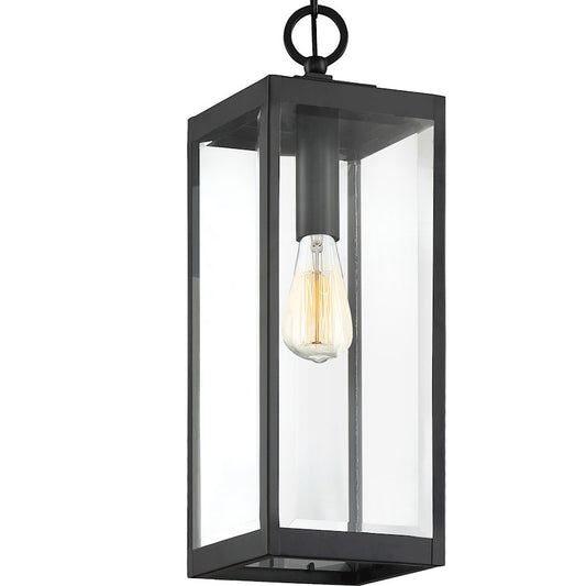 1 Light Mini Pendant, Clear Seeded
