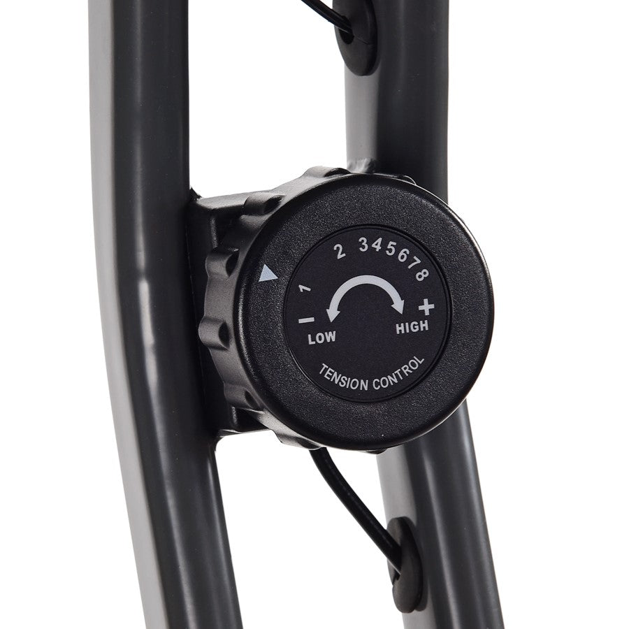 Stamina Muuv Cardio Exercise Bike