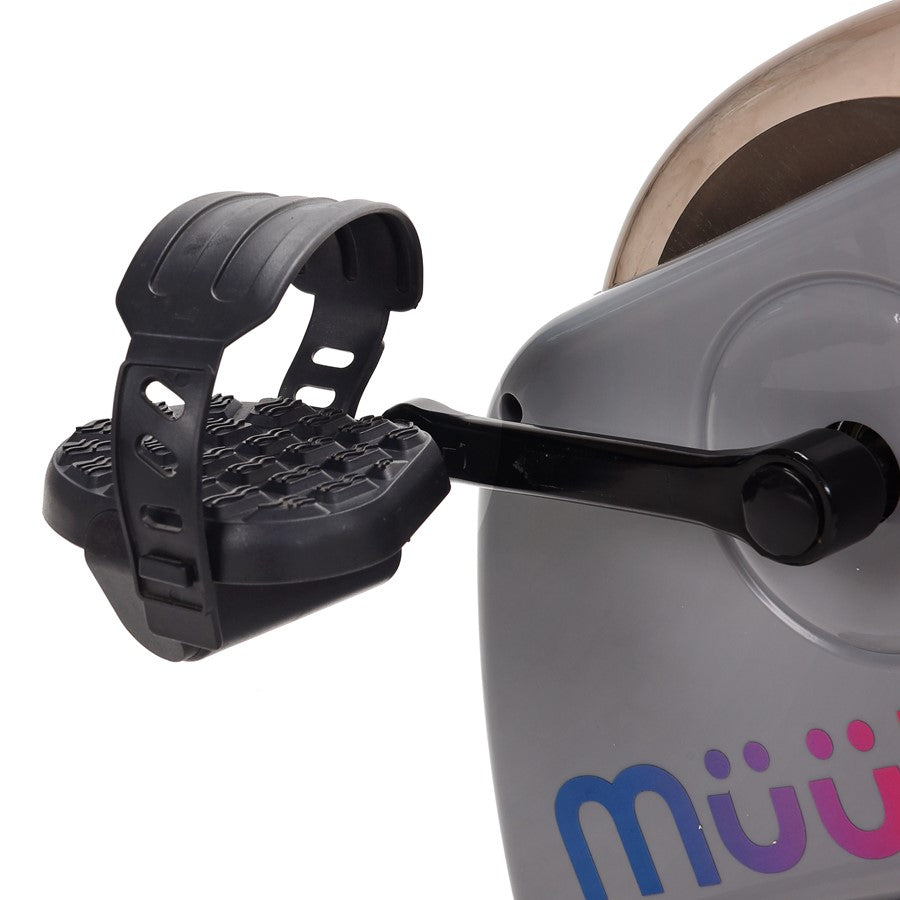 Stamina Muuv Cardio Exercise Bike