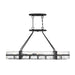 Savoy House Hudson 10-Light Oval Chandelier, Matte Black - 1-1852-10-89