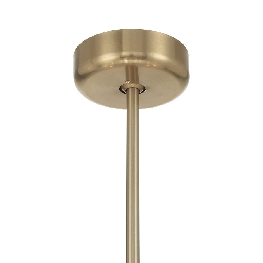 Savoy House Celina 12 Lt Ceiling Fan, Fan D'Lier, Noble Brass
