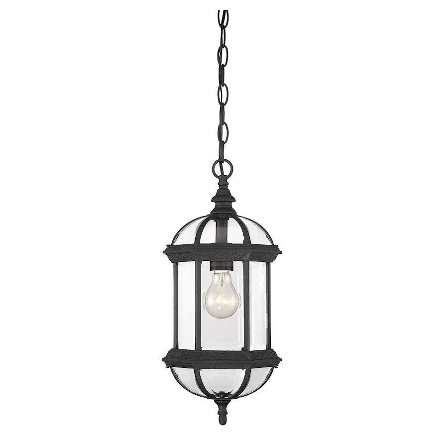 Savoy House Kensington 1Lt Outdoor Hanging Lantern, Textured Black - 5-0631-BK