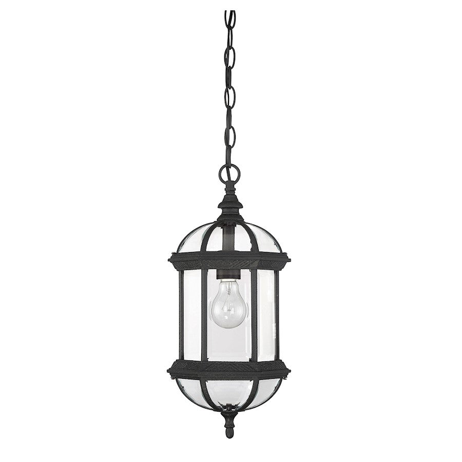 Savoy House Kensington 1Lt Outdoor Hanging Lantern, Textured Black