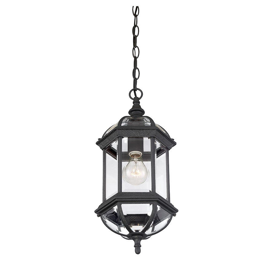 Savoy House Kensington 1Lt Outdoor Hanging Lantern, Textured Black