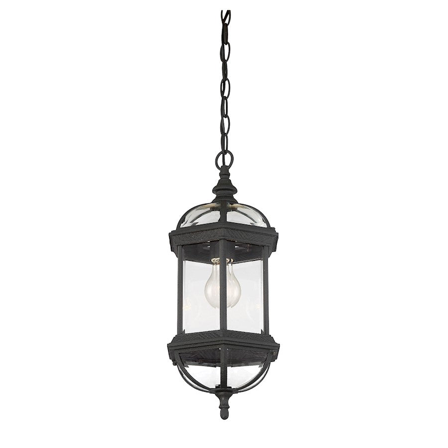 Savoy House Kensington 1Lt Outdoor Hanging Lantern, Textured Black