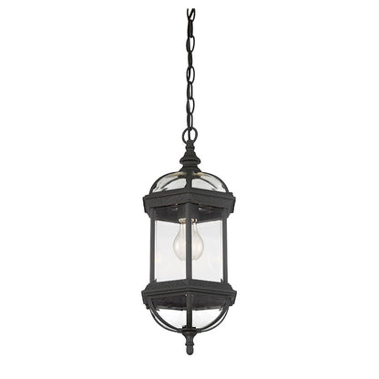 Savoy House Kensington 1Lt Outdoor Hanging Lantern, Textured Black