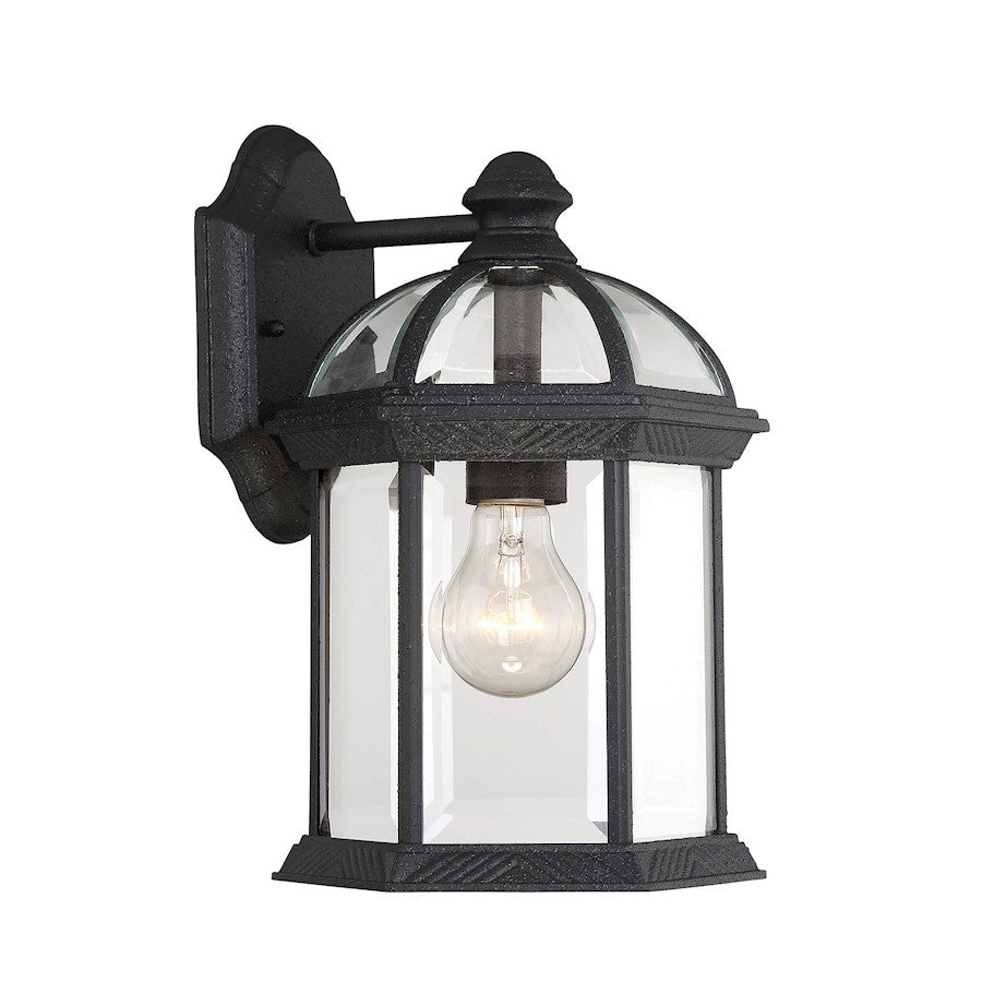 1 Light 12" Outdoor Wall Lantern