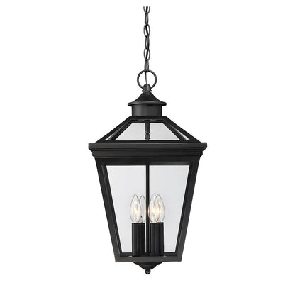 Savoy House Ellijay 4-Light Outdoor Hanging Lantern, Black - 5-145-BK